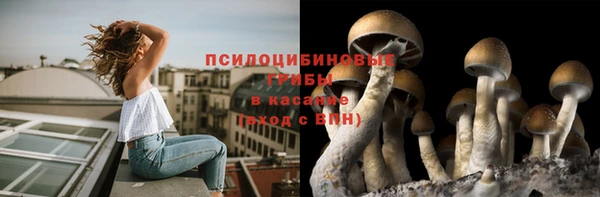 mix Инсар